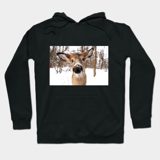 Nosey - White-tailed Deer Hoodie